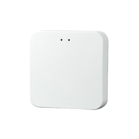 Passerelle Box domotique Zigbee 3.0 Bluetooth SigMesh Wi-Fi 2.4GHz