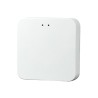 Passerelle Box domotique Zigbee 3.0 Bluetooth SigMesh Wi-Fi 2.4GHz