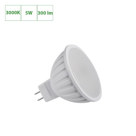 Ampoule LED 12V MR16
