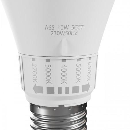 Ampoule LED E27 CCT 10W