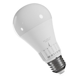 Ampoule LED E27 CCT 10W 1100 lumens - WOJ14715