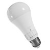 Ampoule LED E27 CCT 13W 1500 lumens