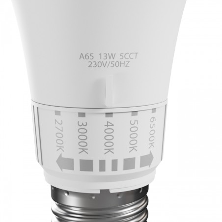 Ampoule LED E27 CCT 13W