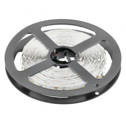 Ruban LED Flash 10mm 6500K 24V 15,6W/m IP20 5 mètres GTV