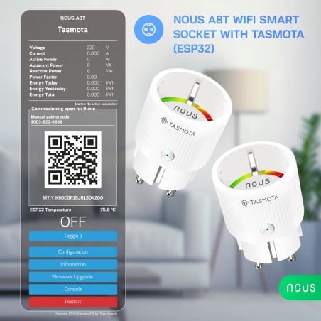 Prise Connecté WIFI TASMOTA 10A pré-installé