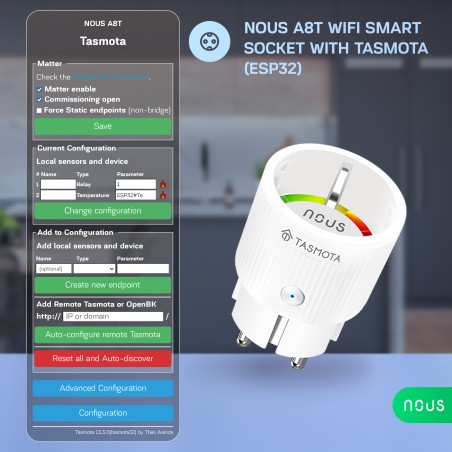 Prise Connecté WIFI TASMOTA 10A pré-installé