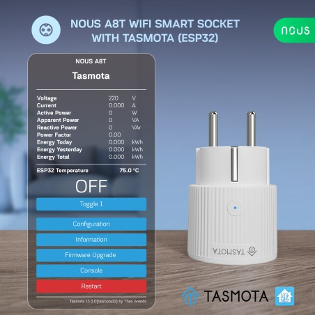 Prise Connecté WIFI TASMOTA 10A pré-installé