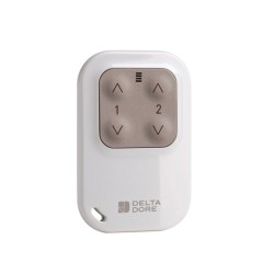 Télécommande Tyxia 1400 porte-clé radio 2 voies DELTA DORE