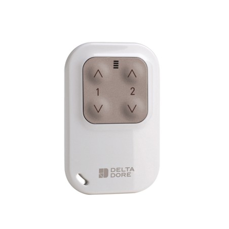 Télécommande Tyxia 1400 DELTA DORE