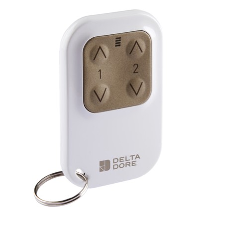 Télécommande Tyxia 1400 DELTA DORE 6351388