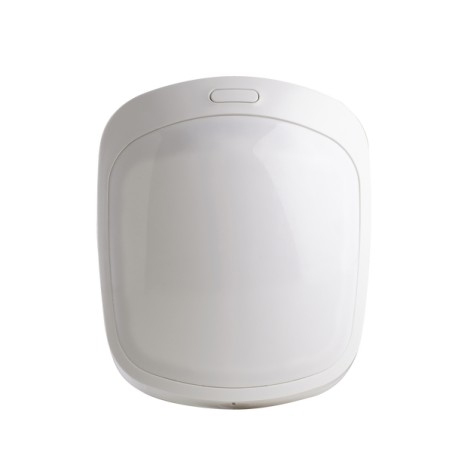 Détecteur de mouvement DELTA DORE