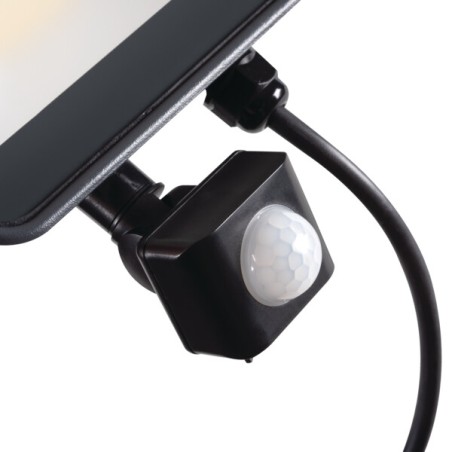 Projecteur LED Extérieur 33888