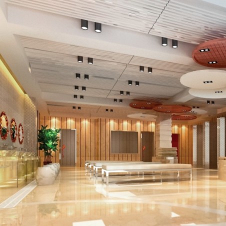 Spot plafonnier orientable CHLOE Noir/Dore en saillie pour ampoule GU10 - Spectrum SLIP005002