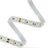 Ruban LED blanc chaud 3000K 12V 5,6W/M rouleau de  30ml