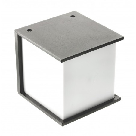 Luminaire de façade LEO Graphite pour ampoule E27