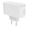Prise Smart Hub ZigBee Bluetooth