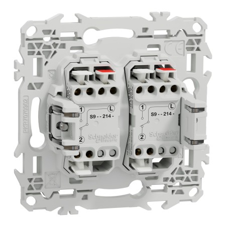 Odace Double interrupteur ou poussoir