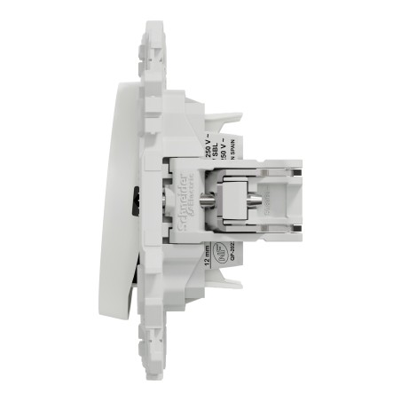 Odace Double interrupteur ou poussoir