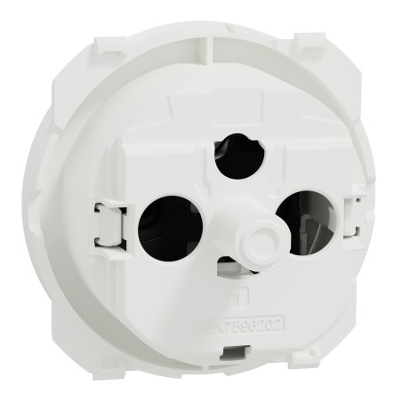 Odace Enjoliveur prise