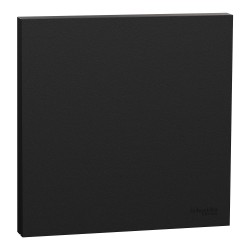 Odace Enjoliveur-Plaque Int. simple Noir Onyx - S949221