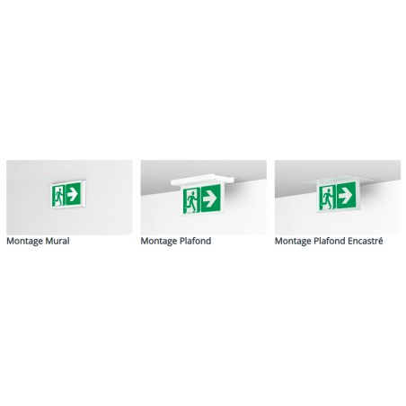 Bloc de secours BAEH habitation 8lm/5h IP43 - LUMINOX 16151