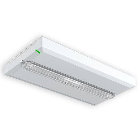 Bloc BAES ambiance SATI 400lm/1h IP43