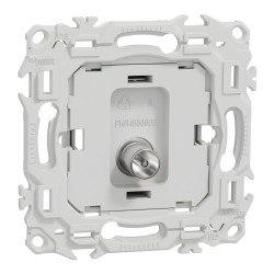 Odace Prise TV simple mâle sans enjoliveur - S980445