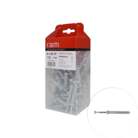 Chevilles à frapper RAMSPEED TP 6x40mm