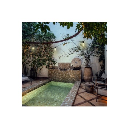 Guirlande solaire Stelar 10 ampoules 0,6W 2700K