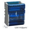 Répartiteur Mono 125A 14 départs