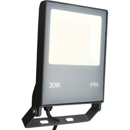 Projecteur extérieur Floody 30W 3000K noir IP66