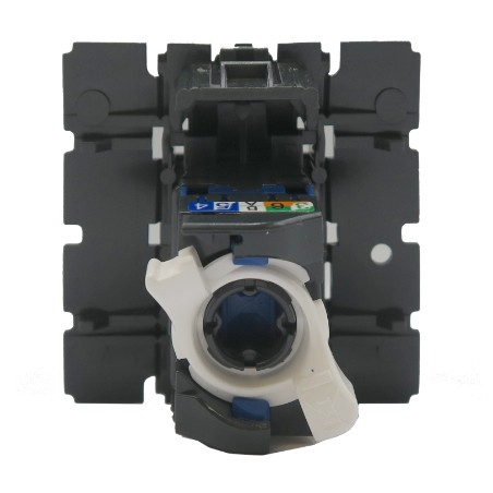 Céliane Prise RJ45 Catégorie 6 FTP débit de données jusqu’à 1 Gbit/s 2026