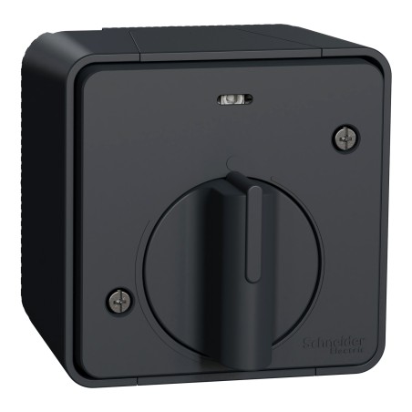 Interrupteur temporisé LED Mureva Saillie Complet Gris