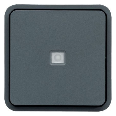 CUBYKO Poussoir lumineux saillies Gris étanche IP55 avec voyant intégré