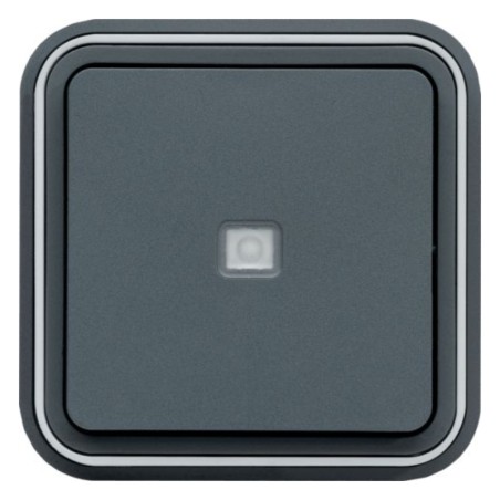 CUBYKO Poussoir lumineux encastré 10A 250 V Gris étanche IP55