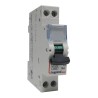Disjoncteur 1P+N à vis D32 32A