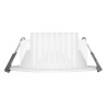 Spot Downlight GRADY 2 6/8W CCT
