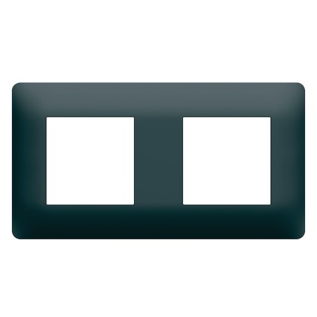 Essensya Plaque finition Anthracite 2 postes pose horizontal ou vertical