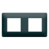 Essensya Plaque finition Anthracite 2 postes pose horizontal ou vertical