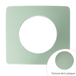Plaque Céliane Vert Céladon 1 poste - LEGRAND CP0501