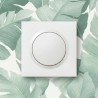 Dooxie Interrupteur + plaque Carré blanc LEGRAND 600001