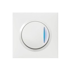 Dooxie Inter témoin + plaque carrée blanc LEGRAND 600009
