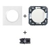 Dooxie Inter témoin + plaque carrée blanc + griffes