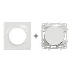 Odace Interrupteur VV S520204 + plaque Blanc
