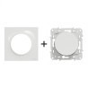 Odace Interrupteur va-et-vient 10A 10 AX à 250 V CA + plaque Blanc