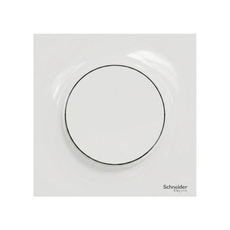 Odace Poussoir simple 10 A à 250 V