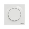Odace Poussoir simple 10 A à 250 V
