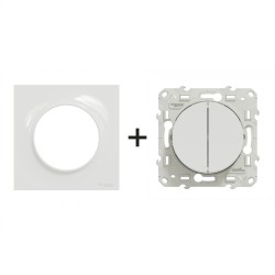 Odace Double interrupteur S520214 + plaque Blanc
