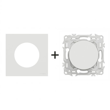 Odace Interrupteur/poussoir + plaque Blanc Craie