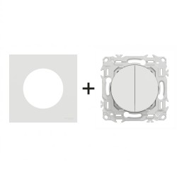 Odace Double inter/BP S920214 + plaque Blanc Craie